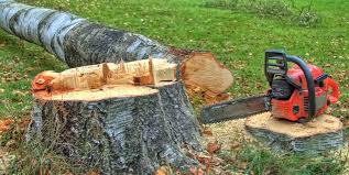 Best Firewood Processing and Delivery  in South San Jose Hills, CA