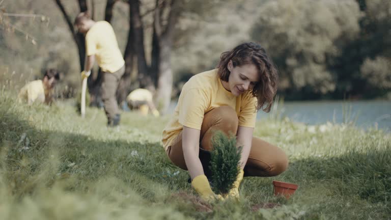 Best Lawn Disease Treatment  in South San Jose Hills, CA