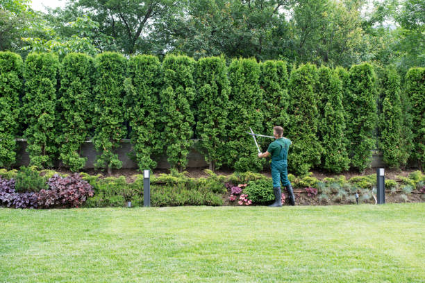 Best Landscape Design and Installation  in South San Jose Hills, CA