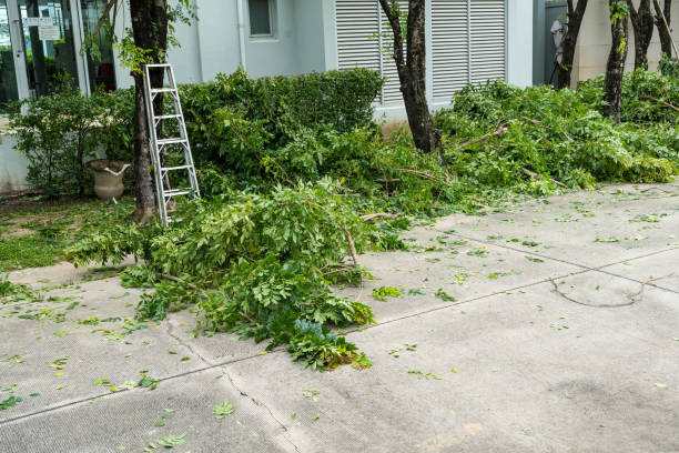 Best Tree Risk Assessment  in South San Jose Hills, CA